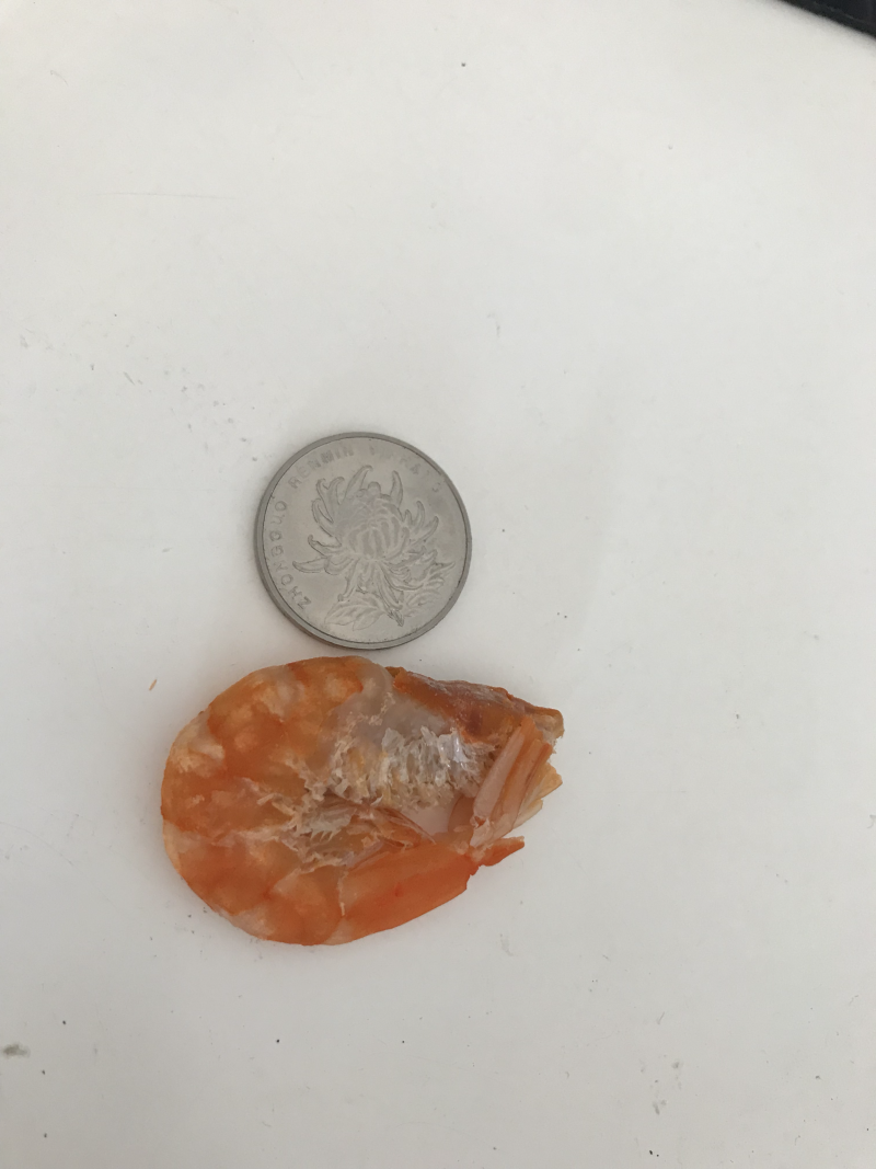 超级大海米