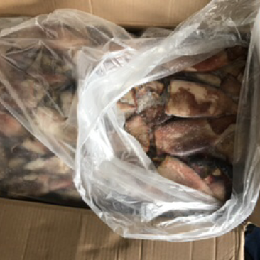 鱿鱼头鱿鱼圈鱿鱼筒