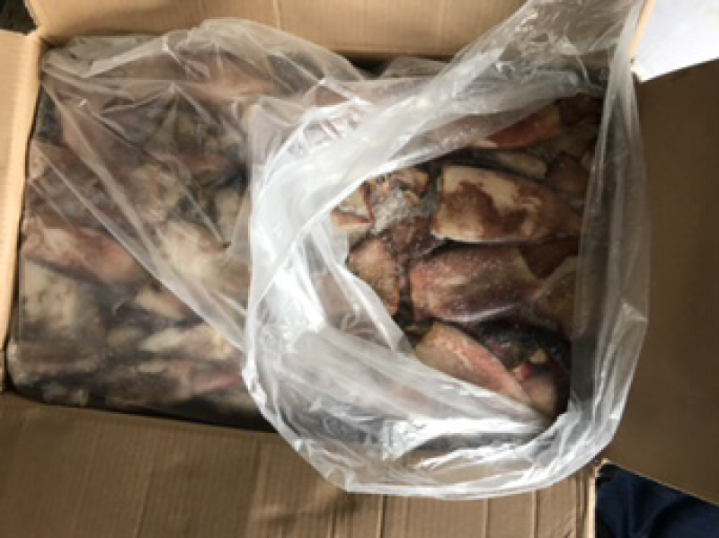 鱿鱼头鱿鱼圈鱿鱼筒