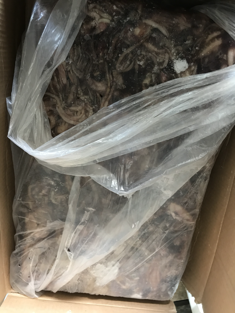 鱿鱼头鱿鱼圈鱿鱼筒