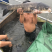 广东地区大量供应10斤至20斤水库青鱼，有20万斤待售！