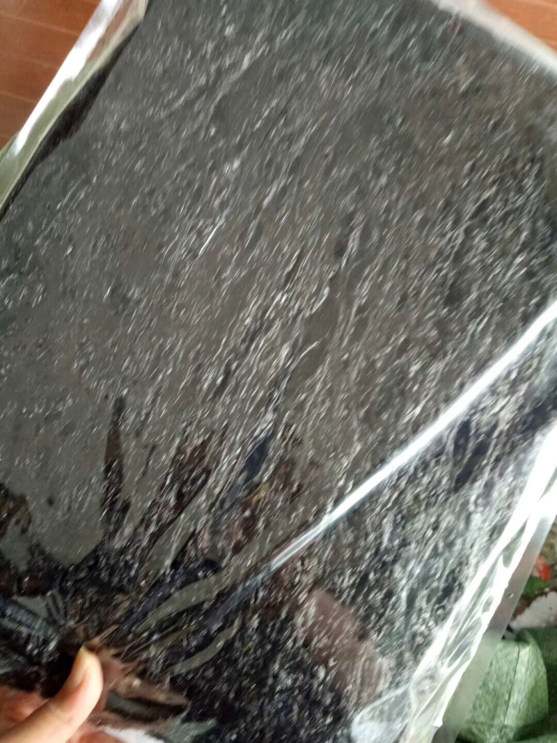 头水紫菜