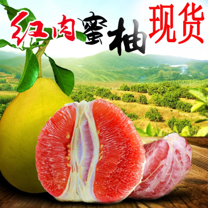红心柚子树苗盆栽地载柚子苗嫁接果树苗南方北方庭院种植当年