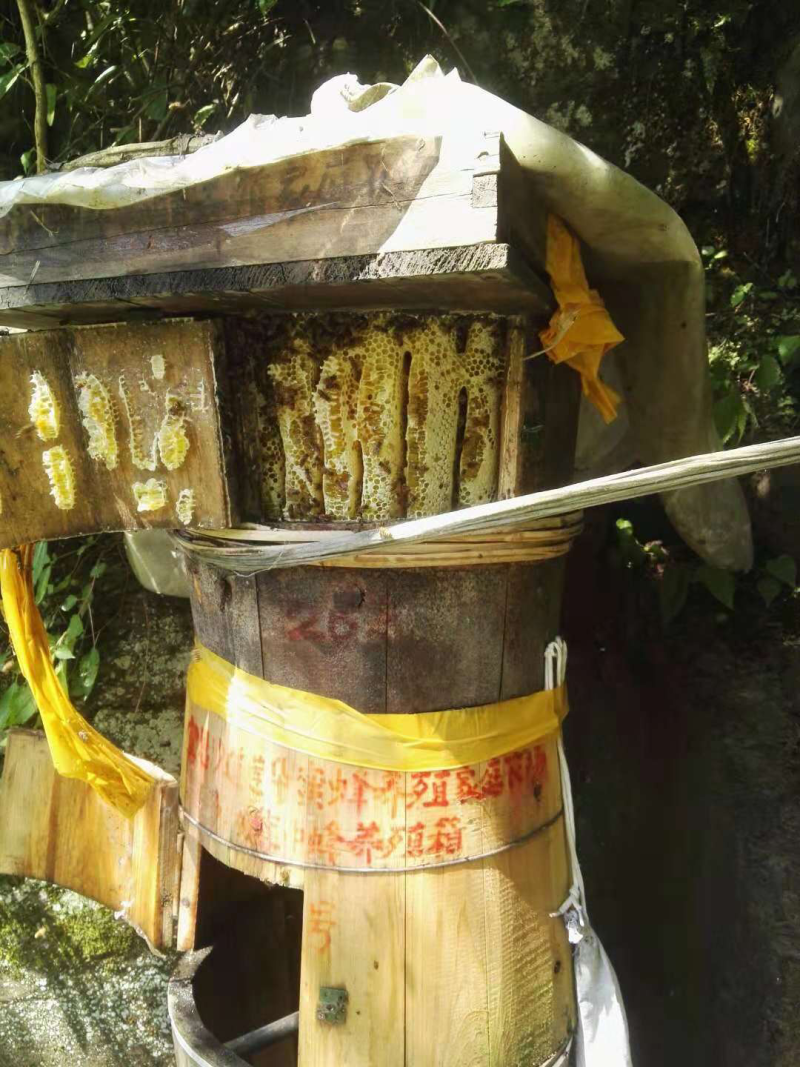 野蜂蜜