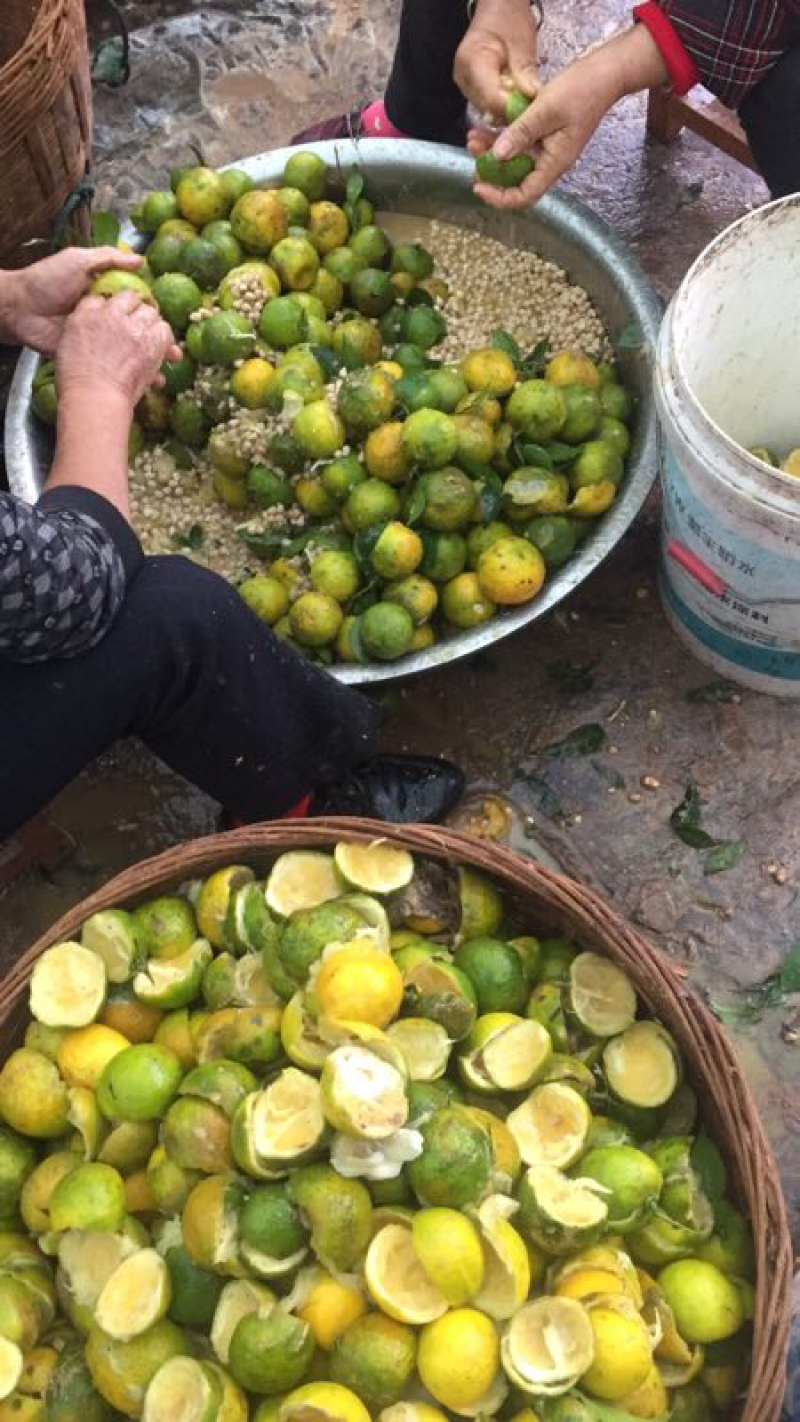 资阳软枝小叶香橙