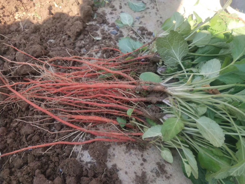 价格透明数量保证
