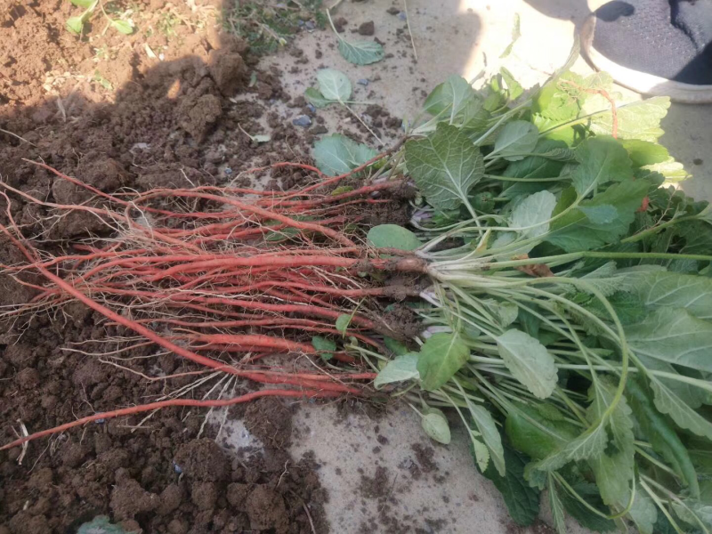 价格透明数量保证