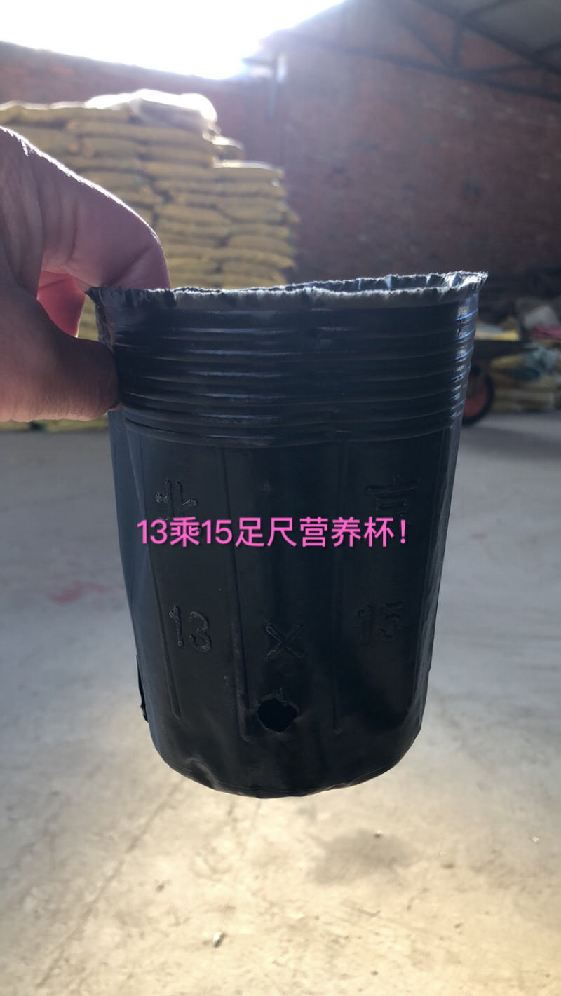 13乘15足尺营养杯