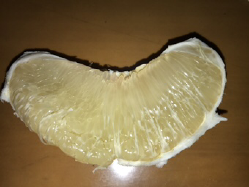 三红蜜柚，千亩种植基地，梅州蜜柚个大味美
