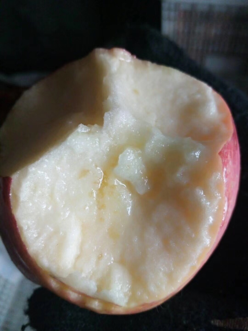 寒富苹果，吉林，长春周边联系