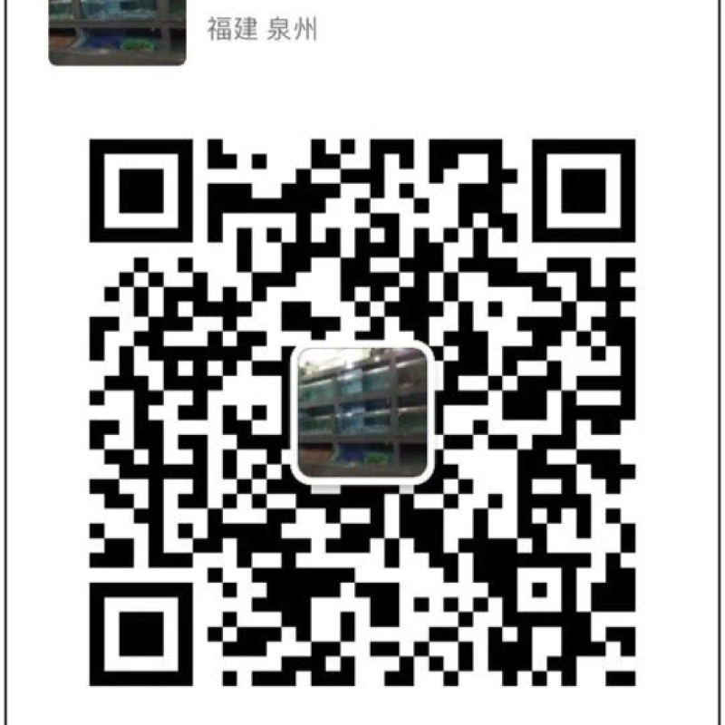 手钓鱿鱼带籽，500克装，