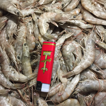 活冻南美白对虾