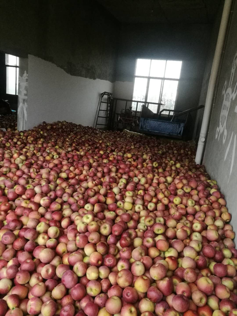 昭通丑苹果