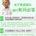 番石榴苗四季珍珠番石榴苗