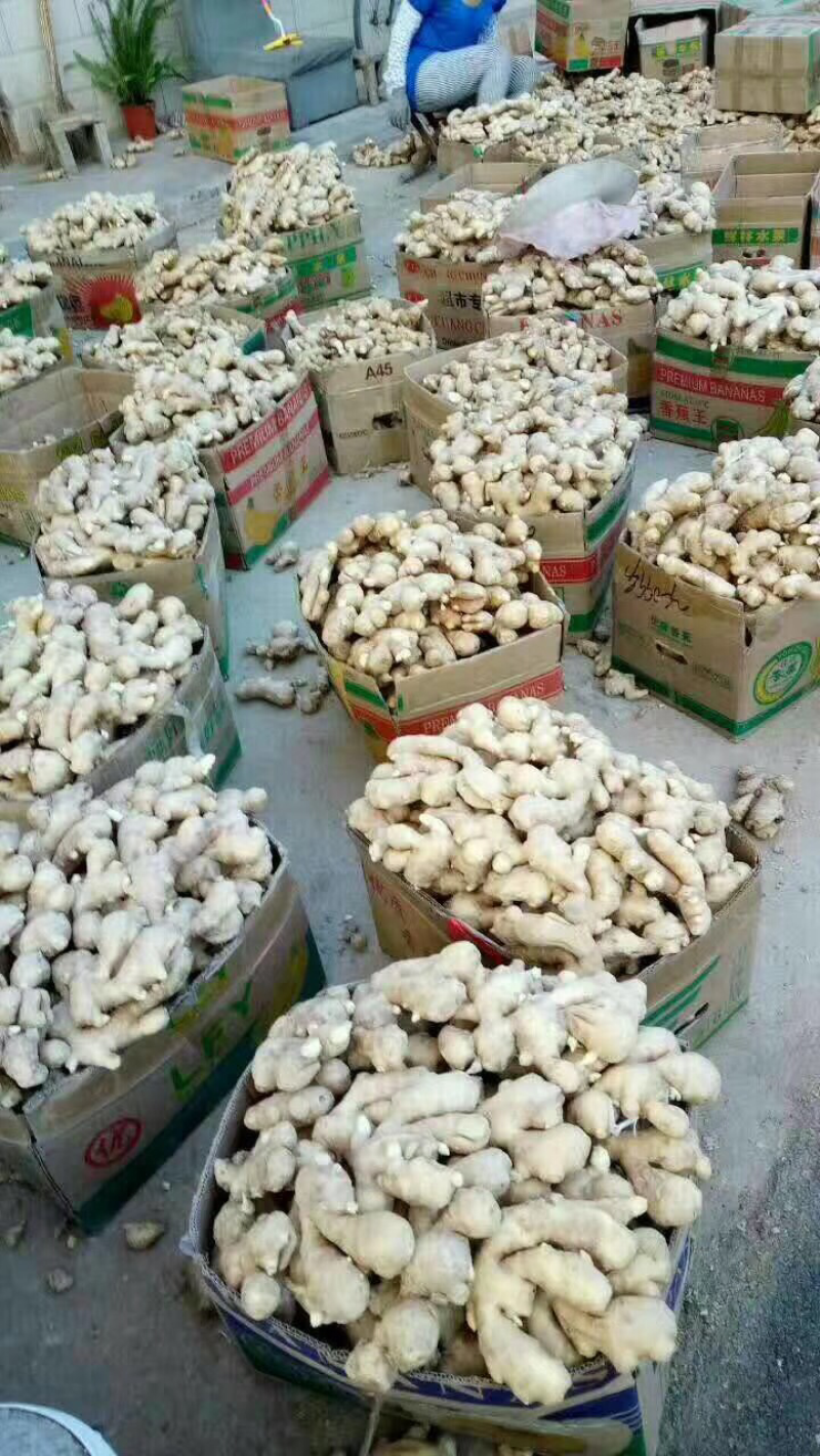 省级示范区直销，一手货源，无中间商赚差价