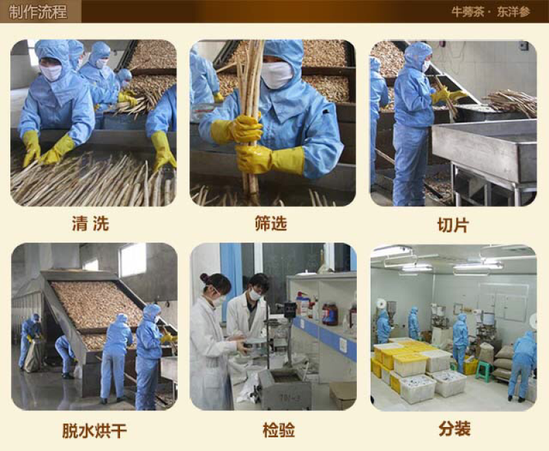 徐州特产黄金牛蒡茶250克牛蒡根茶牛蒡圆片茶