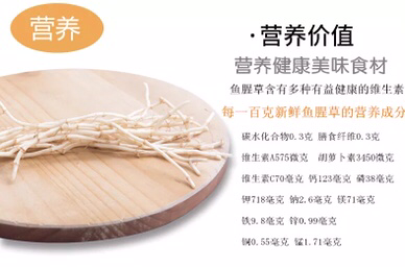 4斤新鲜鱼腥草折耳根新鲜