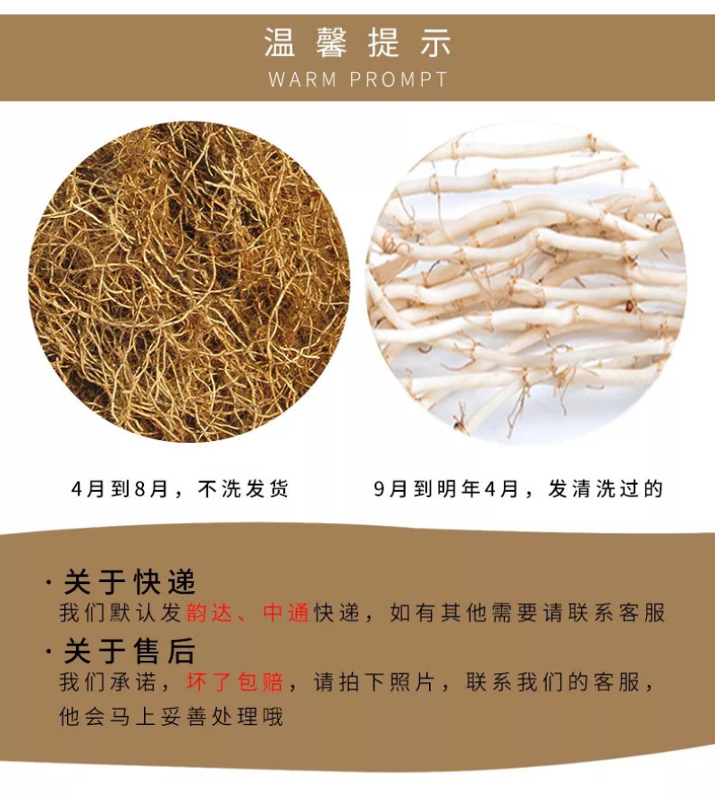 4斤新鲜鱼腥草折耳根新鲜