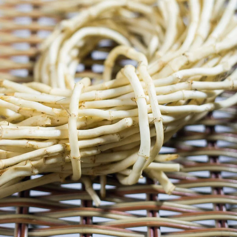 4斤新鲜鱼腥草折耳根新鲜