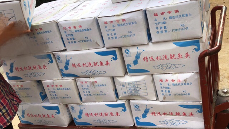 鱿鱼头
