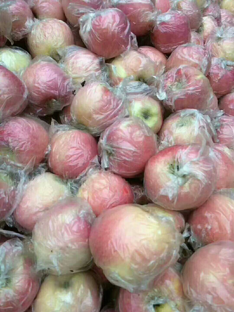 优质新鲜陕西红富士