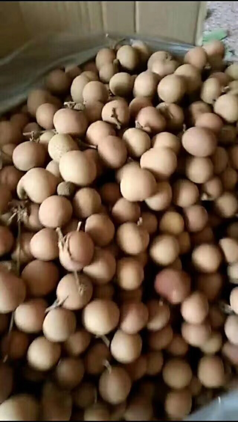 桂圆干