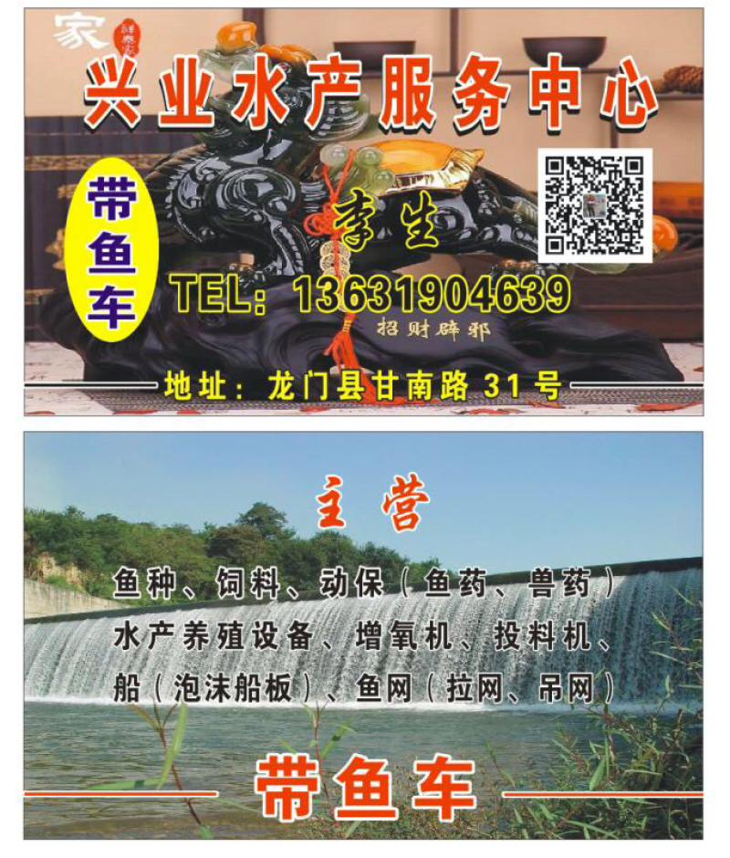本水库鱼体长身结实、滑身！颜色深绿！