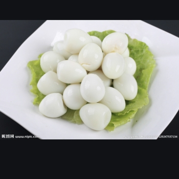 鹌鹑蛋
