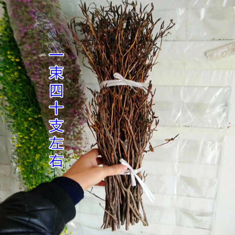 新品泡水开花真花兴安映山红干树枝杜鹃花映山红培植物干花带