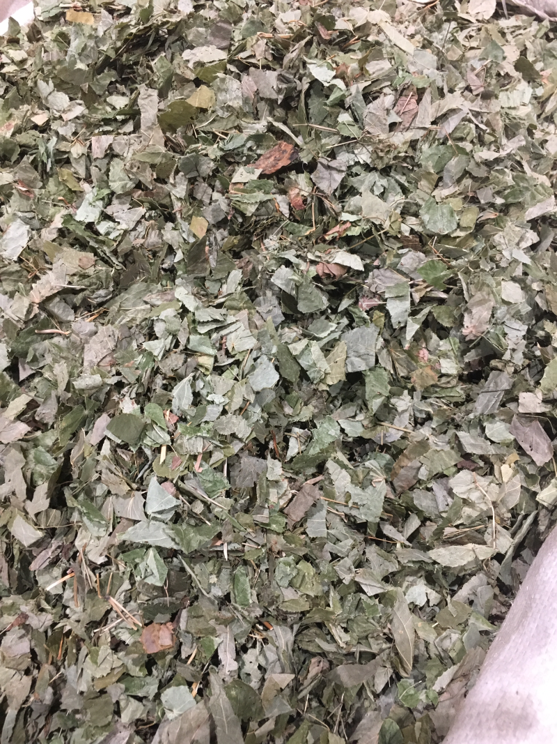 淫羊藿