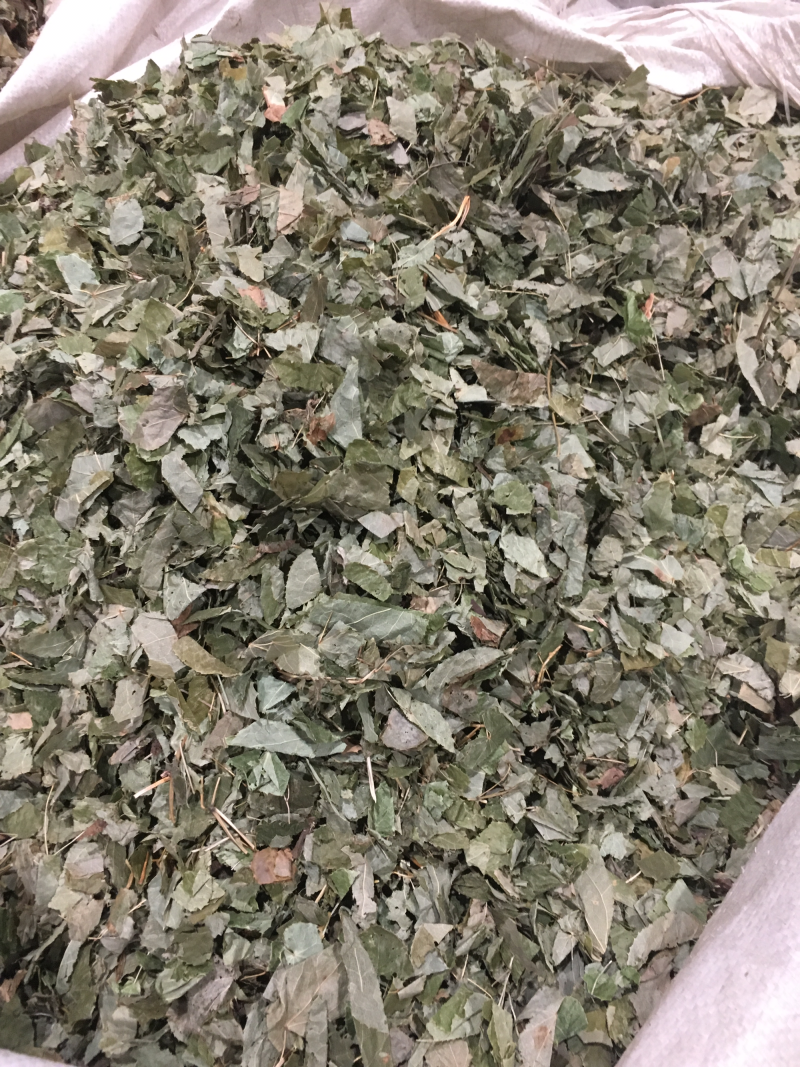 淫羊藿