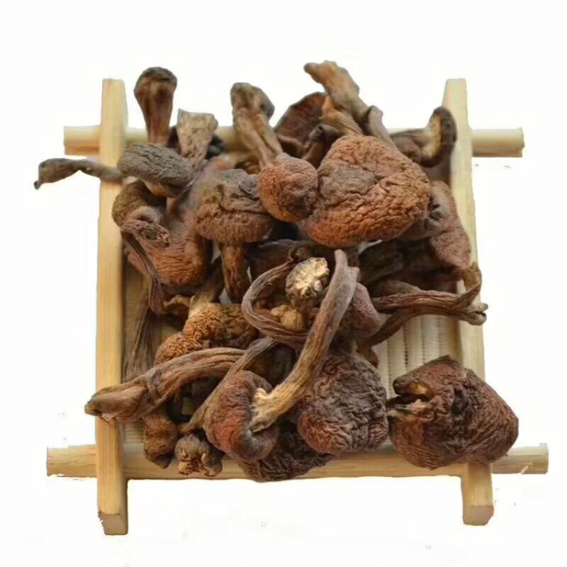 蘑菇，野生榛蘑丁