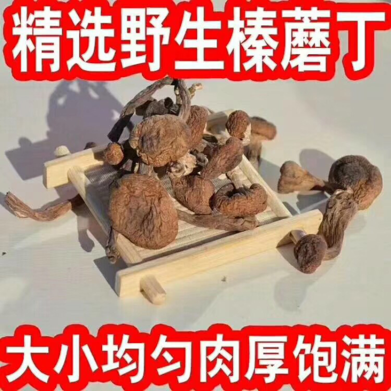 蘑菇，野生榛蘑丁