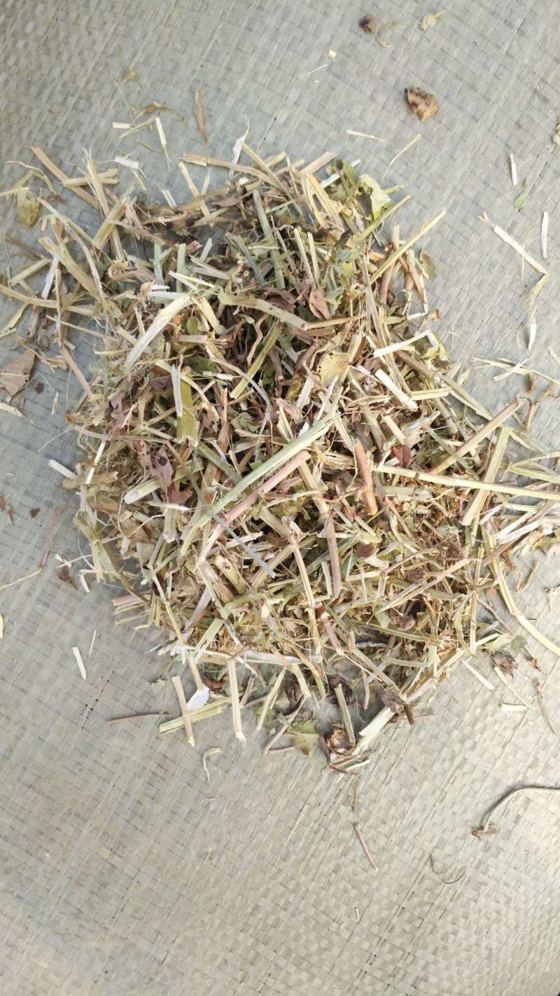 优质花生秧