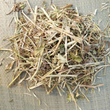 优质花生秧