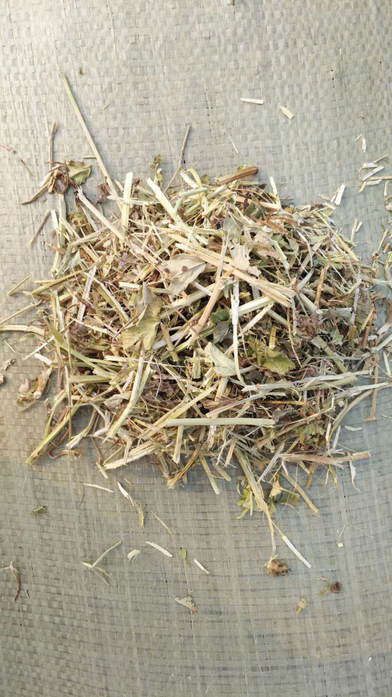 优质花生秧