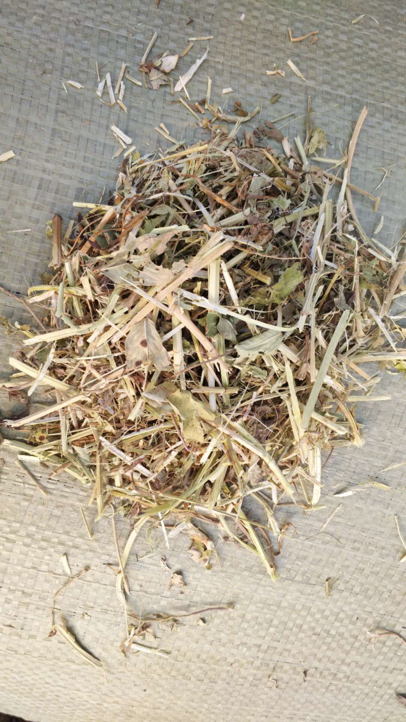 优质花生秧