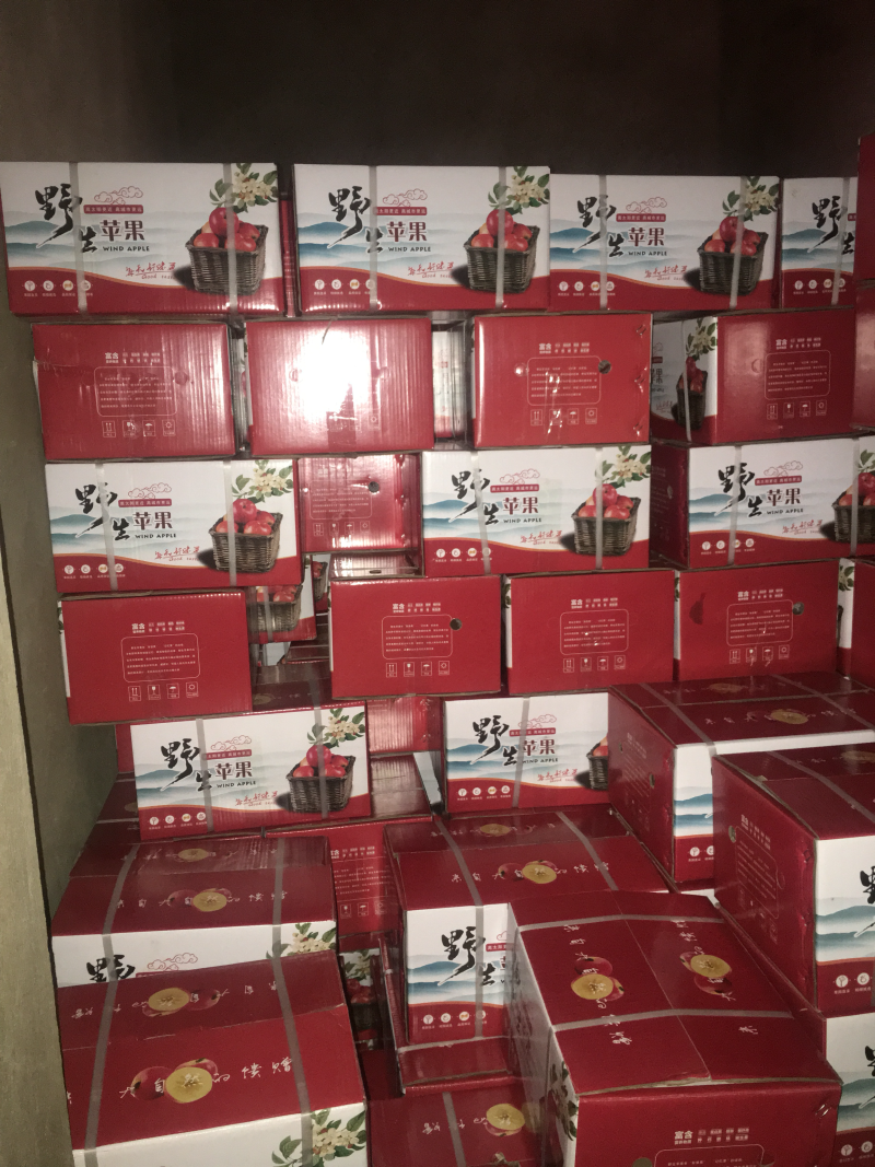 昭通丑苹果