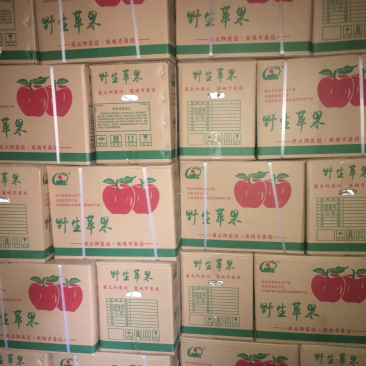 昭通丑苹果
