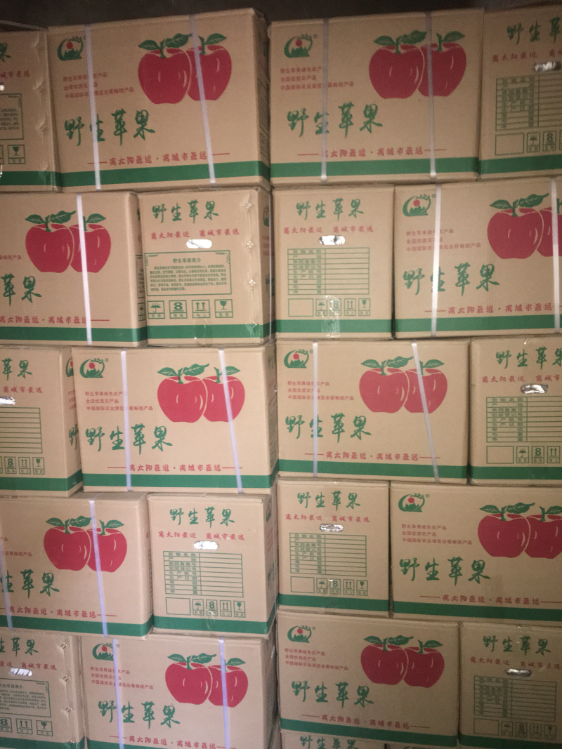 昭通丑苹果