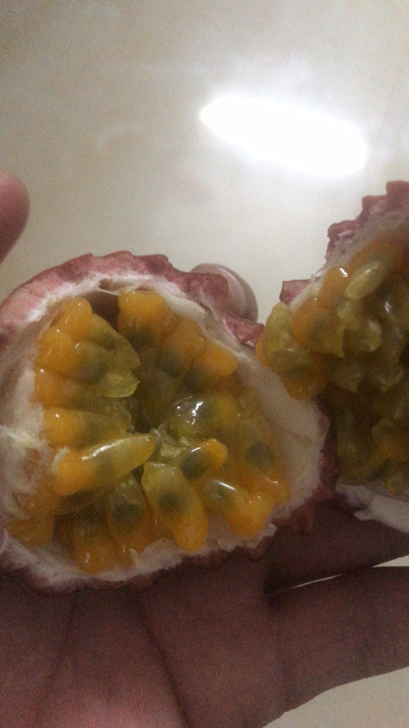 紫色百香果