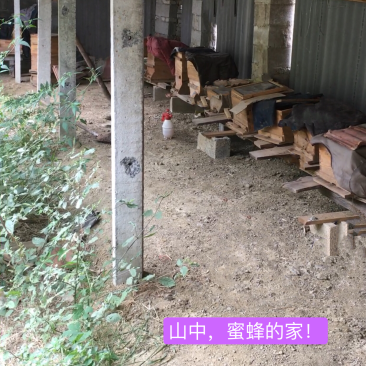 中蜂蜜，无添加，原生态，有需要的联系我。