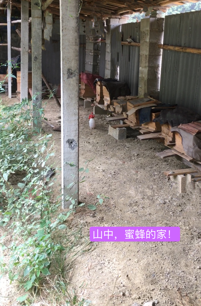 中蜂蜜，无添加，原生态，有需要的联系我。