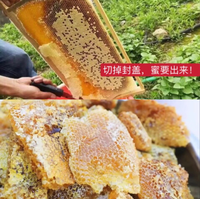 中蜂蜜，无添加，原生态，有需要的联系我。