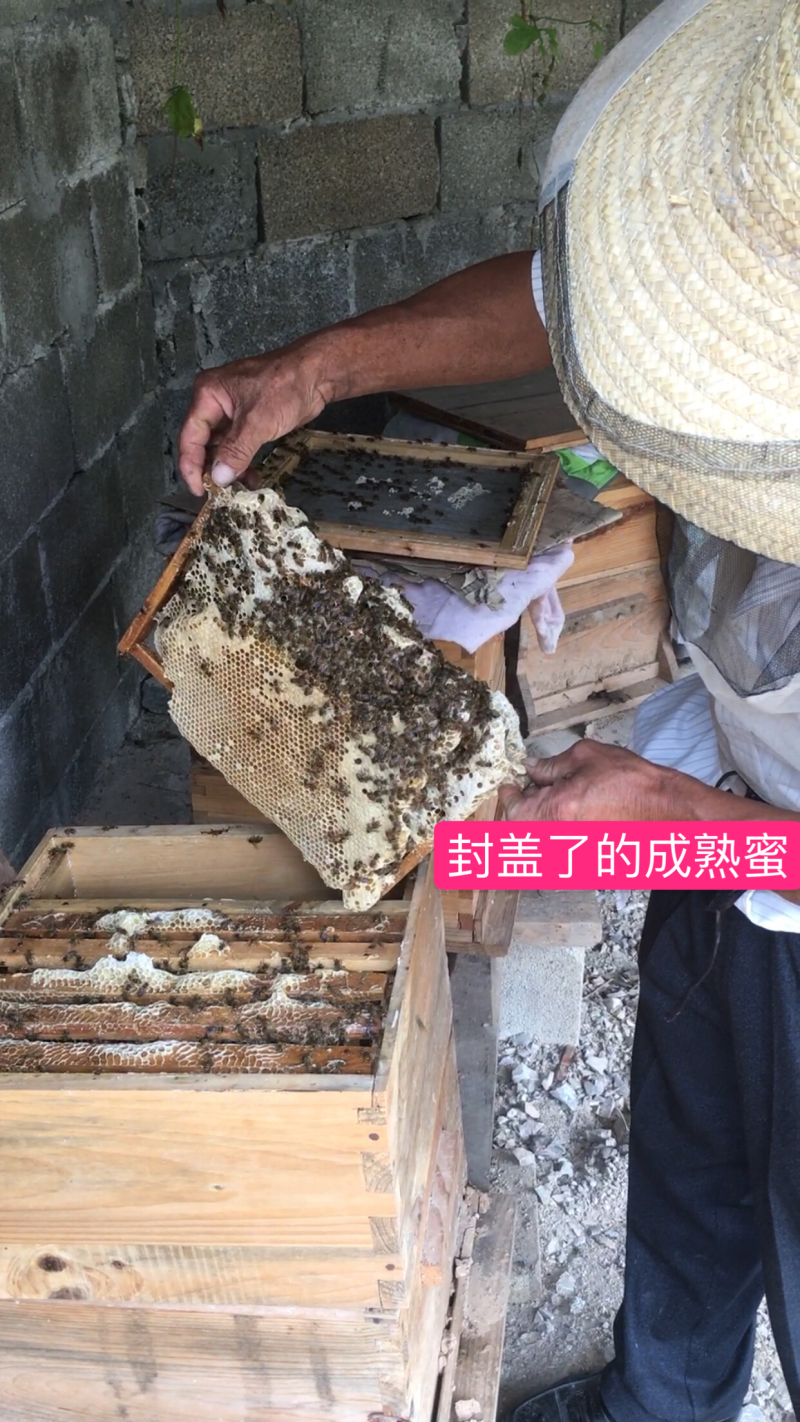 中蜂蜜，无添加，原生态，有需要的联系我。