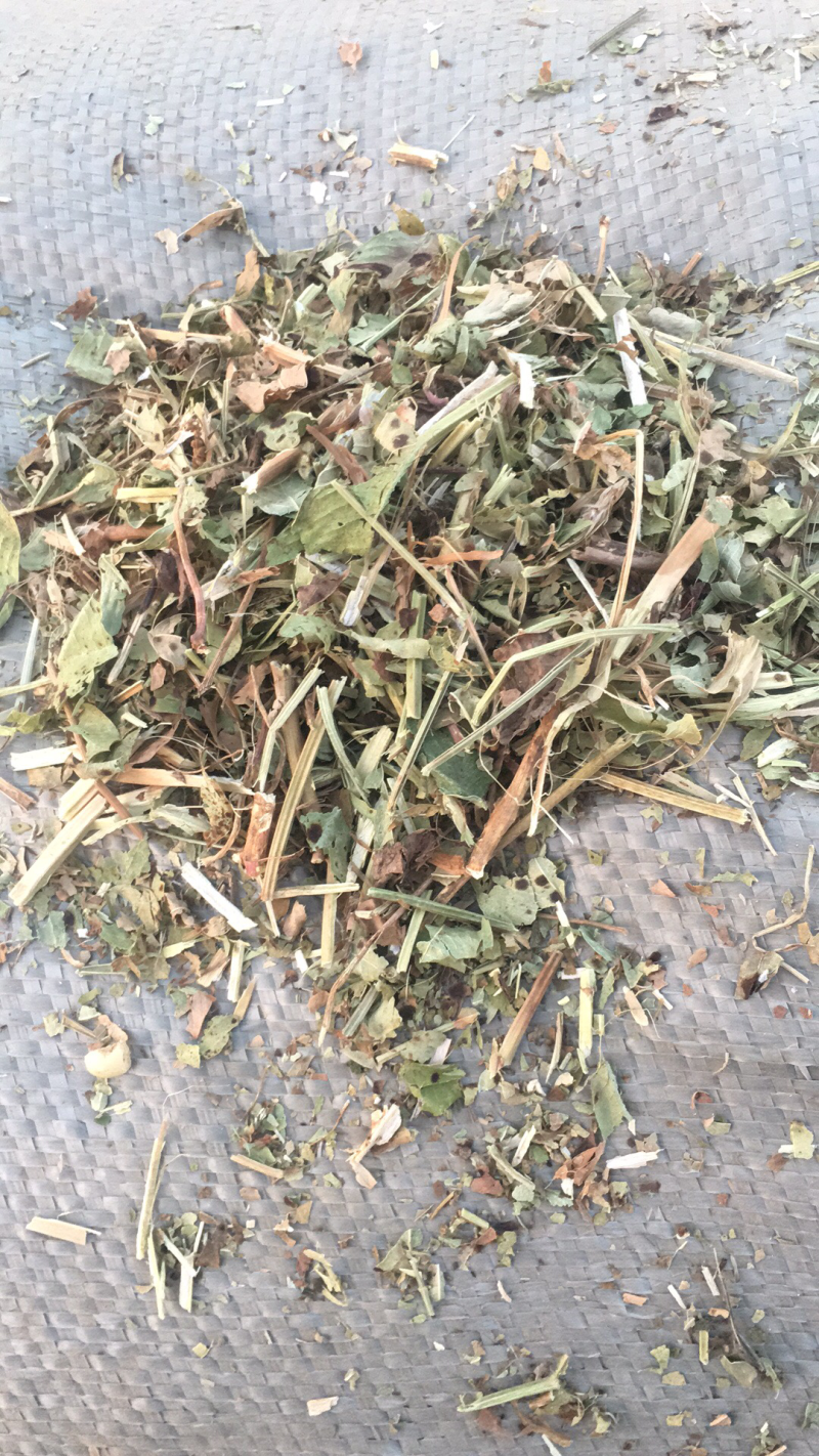优质花生秧