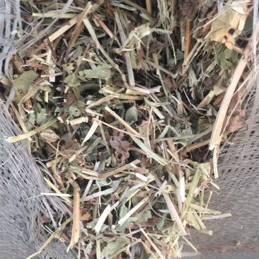 优质花生秧
