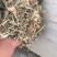 优质花生秧
