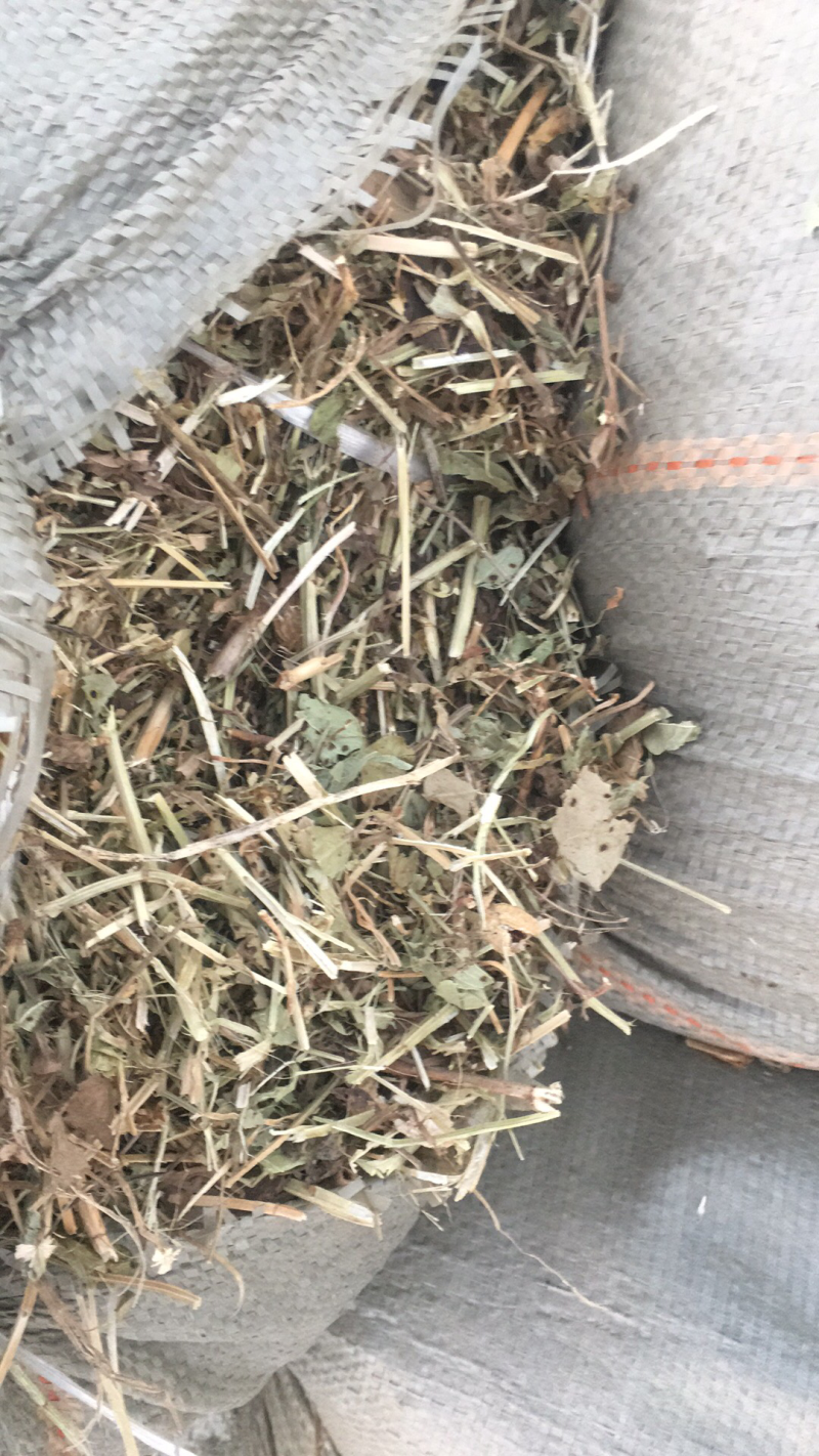 优质花生秧