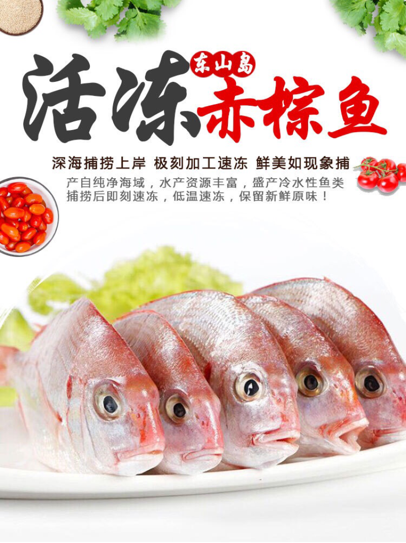 冻赤棕鱼，红立鱼，红雕鱼来自大海的美味